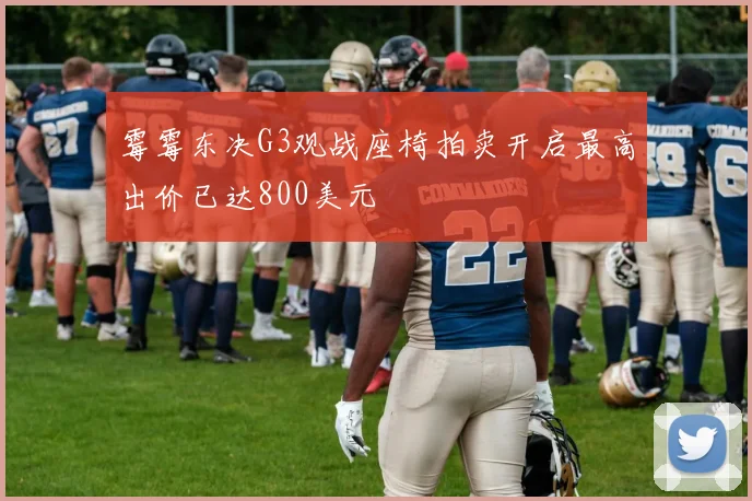 霉霉东决G3观战座椅拍卖开启最高出价已达800美元