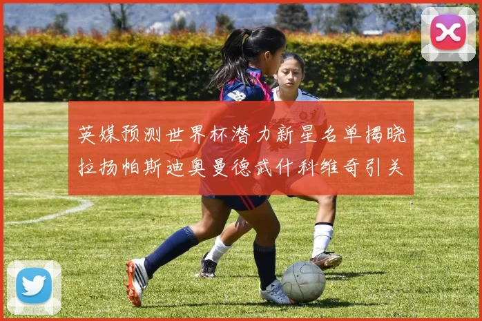 英媒预测世界杯潜力新星名单揭晓拉扬帕斯迪奥曼德武什科维奇引关注